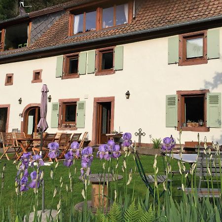 La Pierre D'Eau Hotel Fréland Kültér fotó