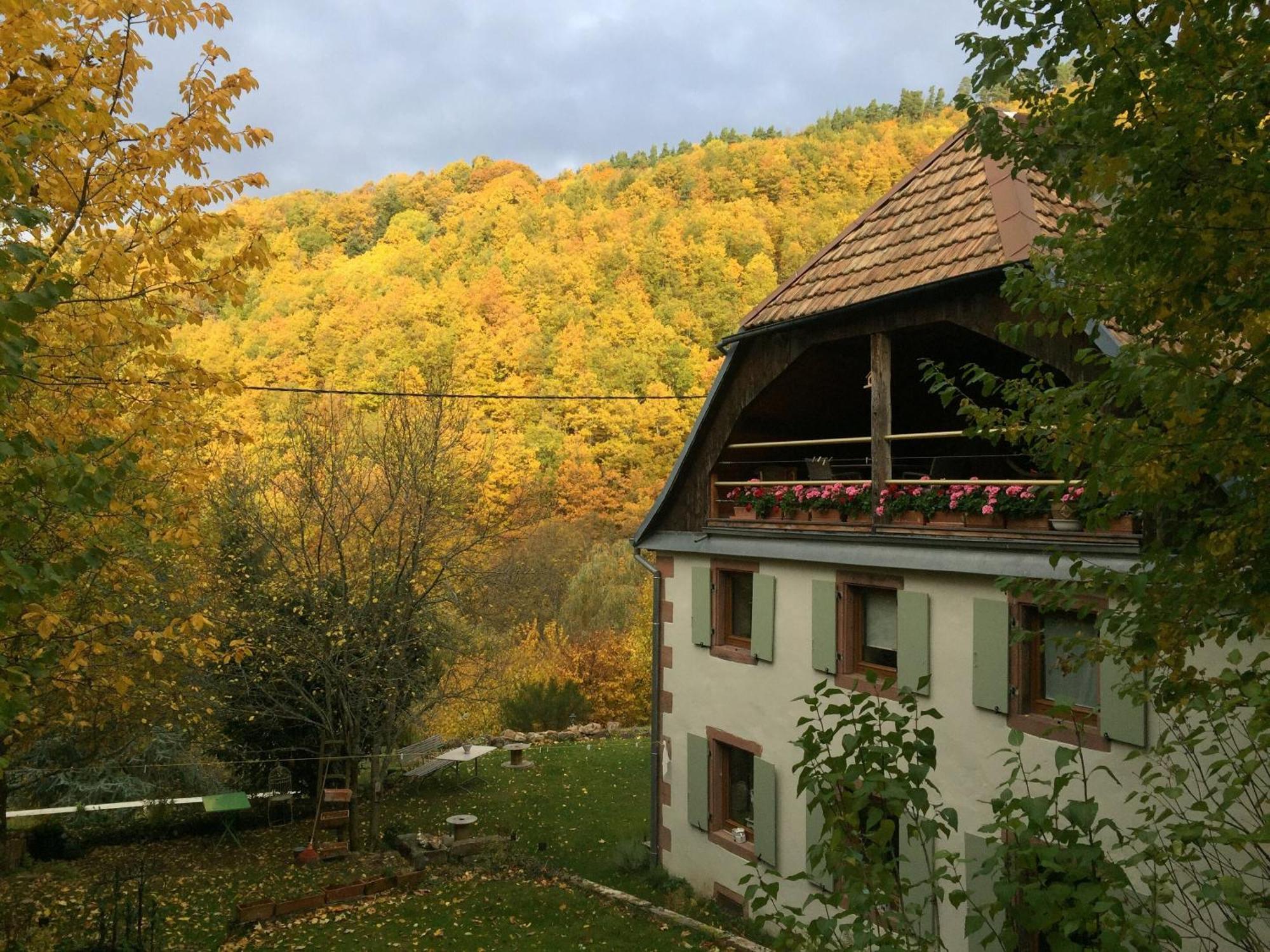 La Pierre D'Eau Hotel Fréland Kültér fotó